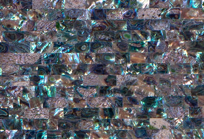 mother of pearl abalone